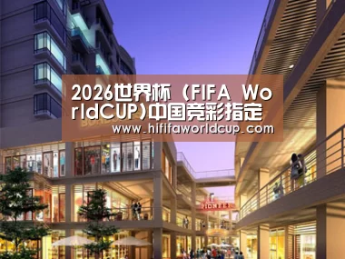 案例展示一(图1)