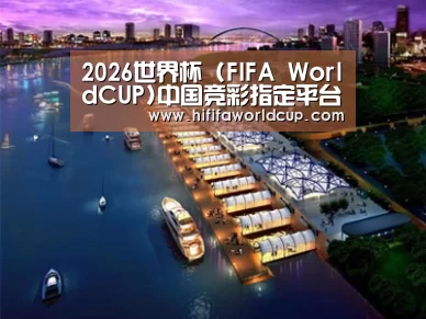 案例展示八
