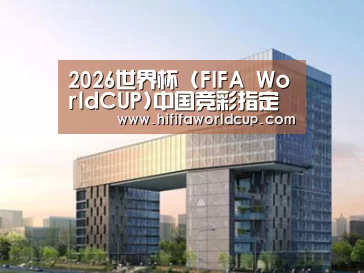 案例展示四