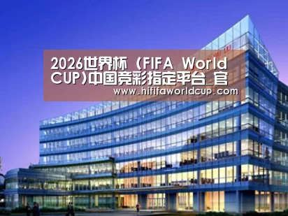 案例展示五