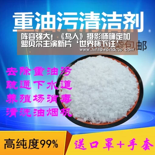 世界杯下注平台