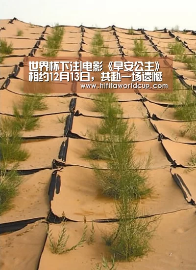 世界杯下注平台
