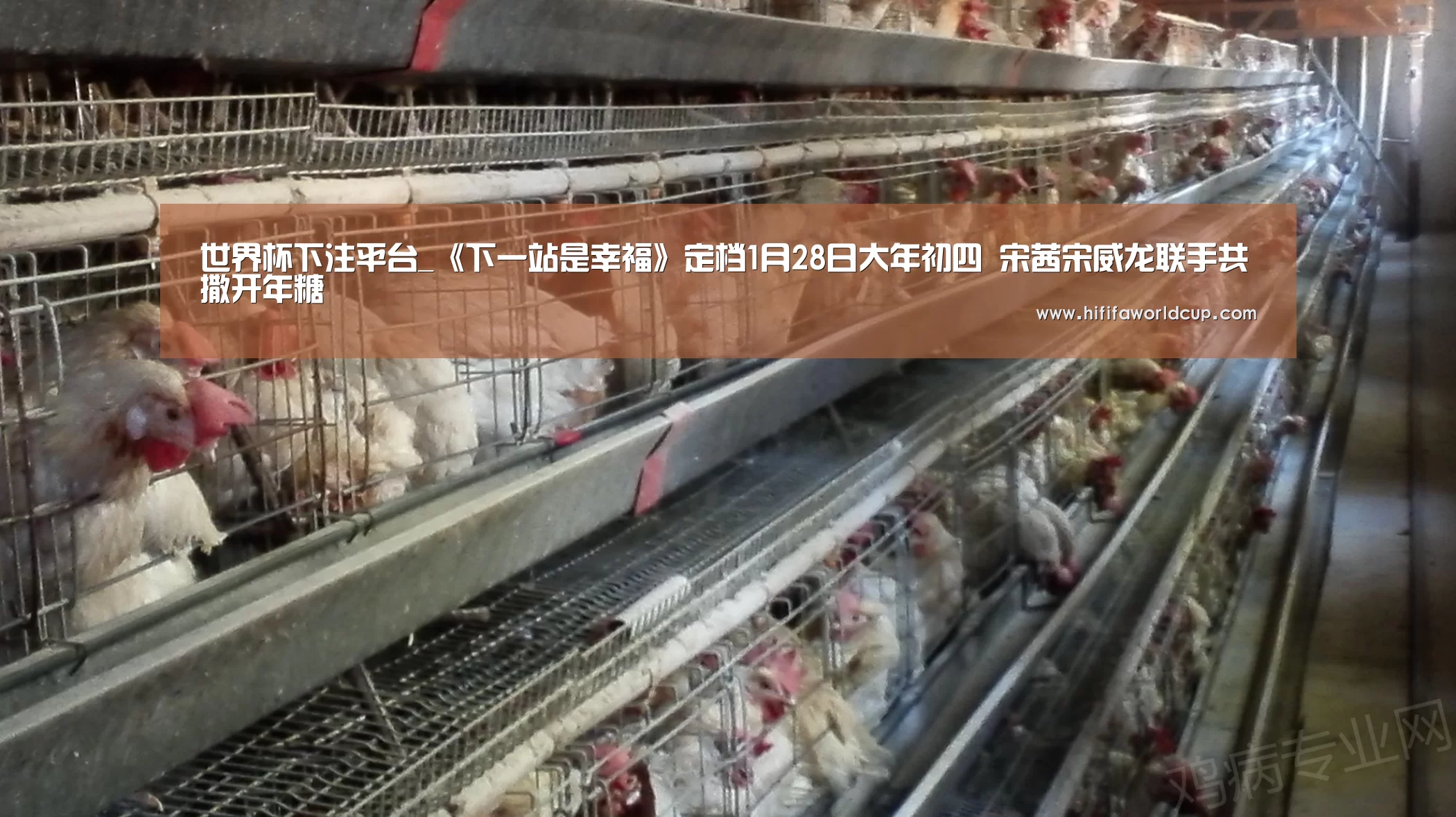 世界杯下注平台_《下一站是幸福》定档1月28日大年初四 宋茜宋威龙联手共撒开年糖(图3) 世界杯下注入口